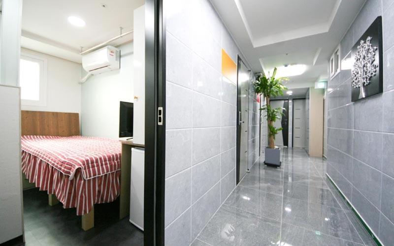 Hostel Dodo House *